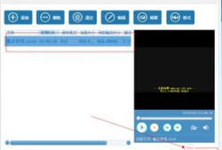怎么转换视频格式,视频格式转换攻略