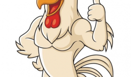 鸡动漫,萌鸡奇遇记